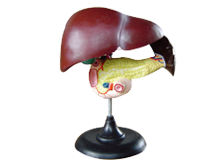 SD-093 33216ʮ֬cKģ